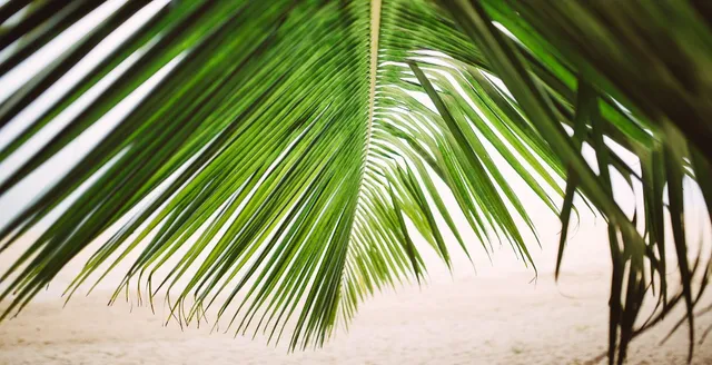 Coconut Village Holiday Villa A4别墅照片 10