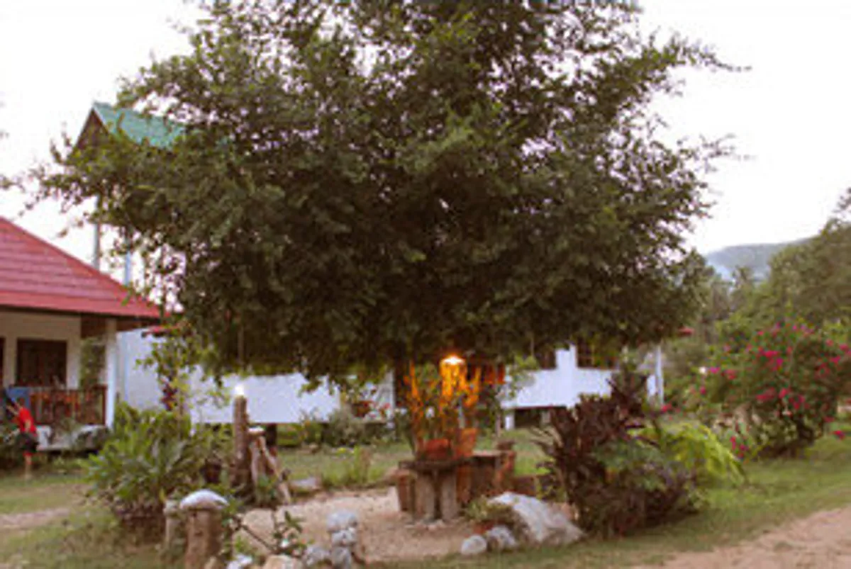 Photo of villa Big Trees Village, 1